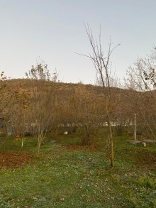 Satılır Torpaq Qəbələdə, Vəndam, -3