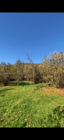 Satılır Torpaq Qəbələdə, Vəndam, -8