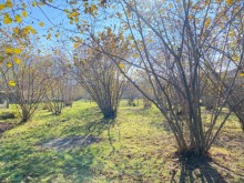 Satılır Torpaq Qəbələdə, Vəndam, -9