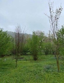 Satılır Torpaq Qəbələdə, Vəndam, -11