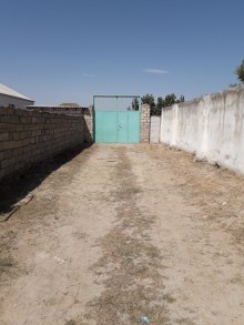 Bilgəh Zəfəran savxoz Satılır Torpaq, -1