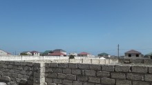 Bilgəh Zəfəran savxoz Satılır Torpaq, -6