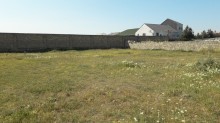 Bilgəh Zəfəran savxoz Satılır Torpaq, -9