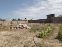 Bilgəh Zəfəran savxoz Satılır Torpaq, -11