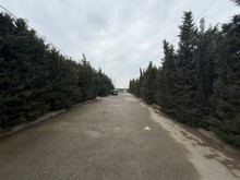 Satılır Torpaq suvelan, -3