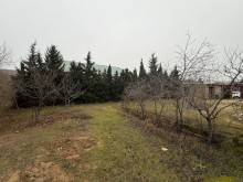 Satılır Torpaq merdekan, -9