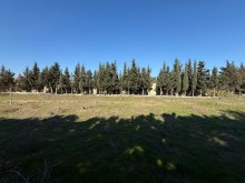 Satılır Torpaq merdekan, -2