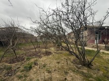 Satılır Torpaq 9 sot merdekan, -1