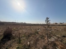 Satılır Torpaq Şüvelan 12 sot, -5