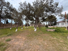 Satılır Torpaq suvelan, -3