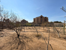 Satılır Torpaq suvelan, -9
