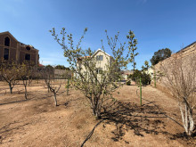 Satılır Torpaq suvelan, -11