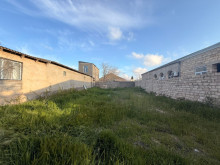 Kirayə (Aylıq) Torpaq, -2