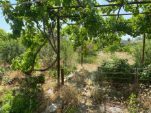 Satılır Torpaq suvelan, -3
