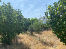 Satılır Torpaq suvelan, -9