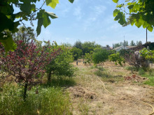 Satılır Torpaq suvelan, -15
