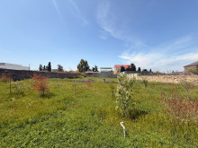 Satılır Torpaq suvelan, -3