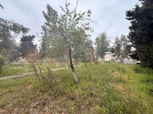 Satılır Torpaq merdekan, -4