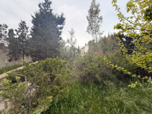 Satılır Torpaq merdekan, -6
