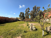 Satılır Torpaq suvelan, -2