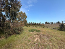 Satılır Torpaq suvelan, -6