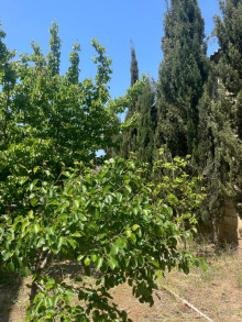 Satılır Həyət evi, Sabunçu.r, Bilgəh-7