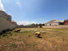 Satılır Torpaq buzovna, -5
