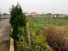 Satılır Torpaq В Мярдяканах около санатория Ласточка, -3