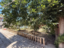 Satılır Torpaq, Xəzər.r, Mərdəkan-3